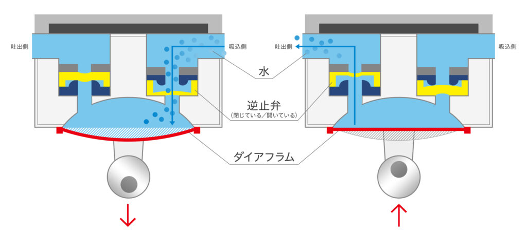 ダイアフラムポンプ(ダイヤフラムポンプ)の構造と原理