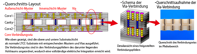 NHS-LTCC Struktur