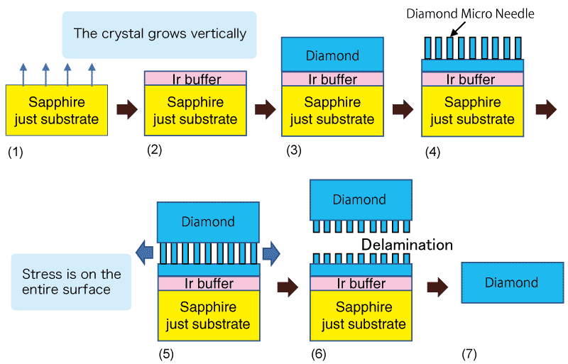 Microneedle method