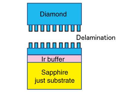 Diamond  Orbray Co., Ltd.