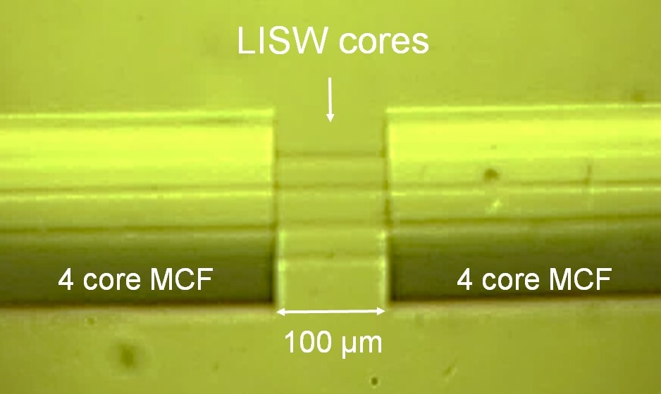 図４　4コアマルチコア光ファイバ間の自己形成光導波路コア接続