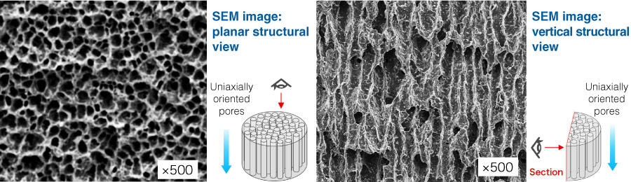 What are Porous Ceramics and how are they different from regular ceramics?