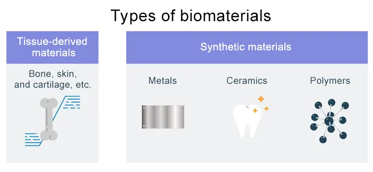 medical, bio materials, synthetic, tissue-deriverd, ceramic, polymer, bone, skin, cartilage