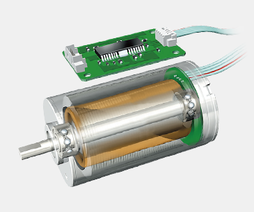 Brushless Motor