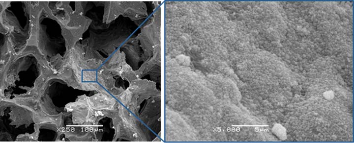 Bio-Zirconia + Porous Ceramic