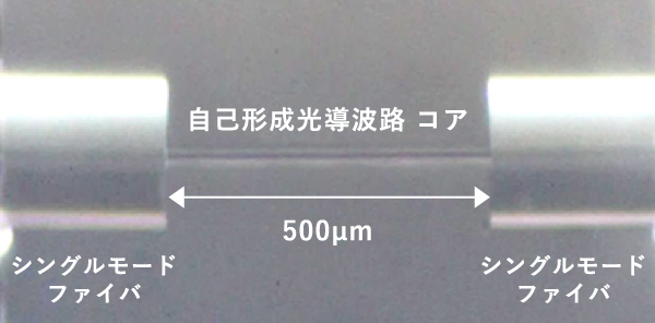 熱分析、熱解析